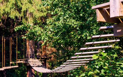 Rope park in summer forest Rope park path in summer forest.