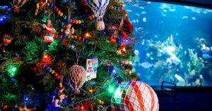 Ripley's Aquarium - Festival of Trees