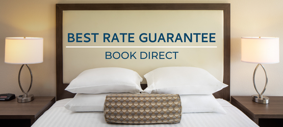 7 Reasons to Book Direct With Coral Beach