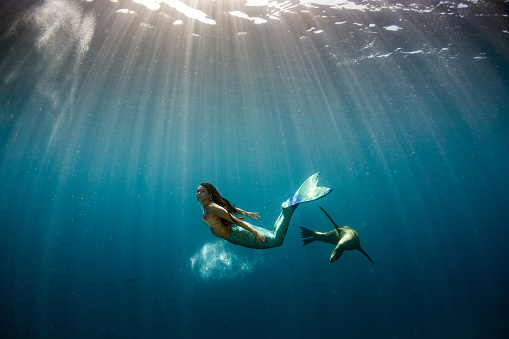 Mermaid swimming underwater in the deep blue sea with a seal