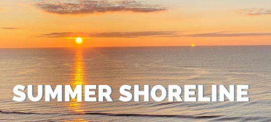 Summer Shoreline Special