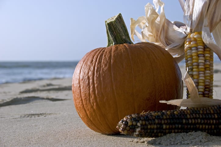 Harvest elements on Myrtle Beach in October